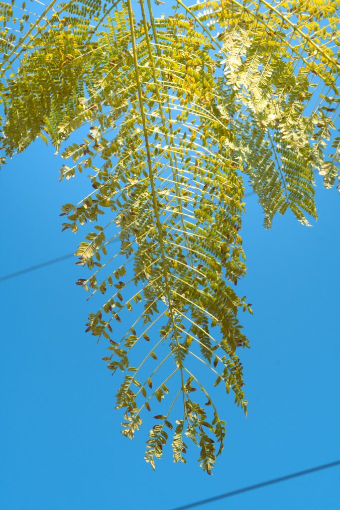 Embrace Career Growth: Certification Programs Explained Embrace Career Growth: Certification Programs Explained